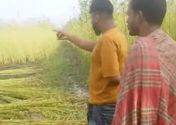 সালথায় প্রবাসীর স্ত্রীকে মারধরের অভিযোগ