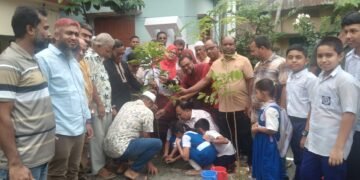 আখাউড়ায় প্রাথমিক বিদ্যালয়ে বৃক্ষরোপণ কর্মসূচির উদ্বোধন