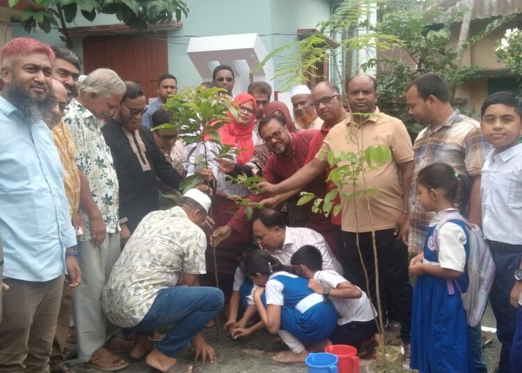 আখাউড়ায় প্রাথমিক বিদ্যালয়ে বৃক্ষরোপণ কর্মসূচির উদ্বোধন