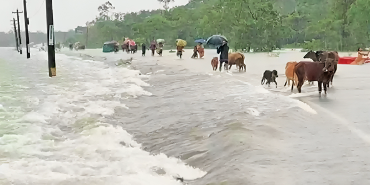 আগামী ২৪ থেকে ৭২ ঘণ্টার মধ্যে ১৬ জেলায় বন্যার আশঙ্কা