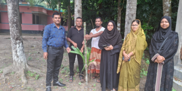 উজিরপুরে পূর্ব ধামসর সরকারি প্রাথমিক বিদ্যালয়ে বৃক্ষরোপণ কর্মসূচি অনুষ্ঠিত