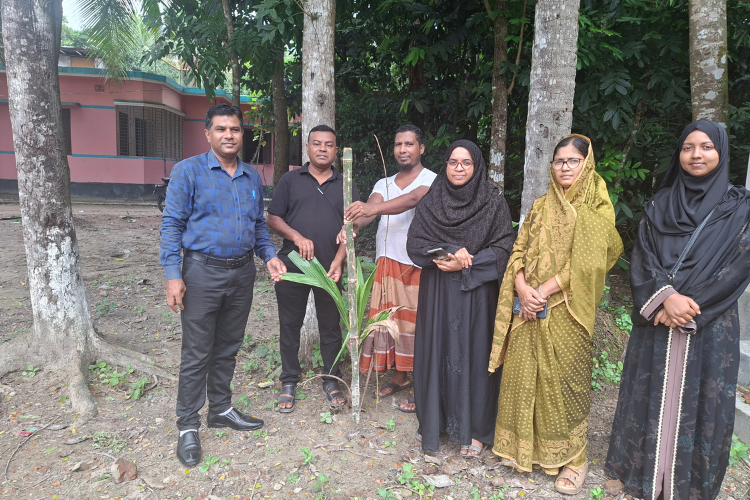 উজিরপুরে পূর্ব ধামসর সরকারি প্রাথমিক বিদ্যালয়ে বৃক্ষরোপণ কর্মসূচি অনুষ্ঠিত