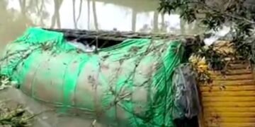 কালুখালীতে ট্রিপল যানের ত্রিমুখী সংঘর্ষে ৩ জন আহত