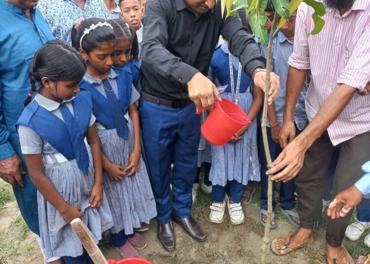 গোপালপুরে ১৬১ সরকারি প্রাথমিক বিদ্যালয়ে বৃক্ষরোপণ কর্মসূচির উদ্বোধন