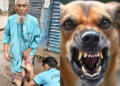 গৌরীপুরে পাগলা কুকুরের তাণ্ডব, আতঙ্কে জনসাধারণ
