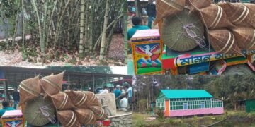 গ্রামের নাম বাশঁকান্দা