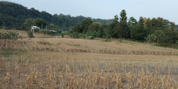 বান্দরবানে পানি নামলেও কাটছে না দুর্ভোগ