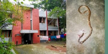 চরভদ্রাসনের অফিসার্স কোয়ার্টারে সাপের উপদ্রব