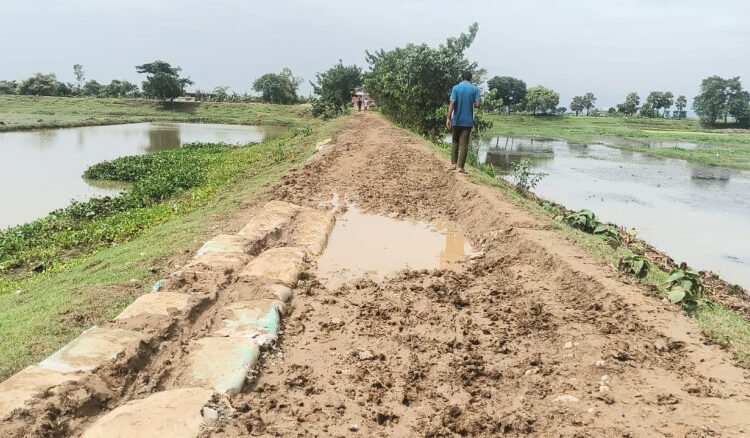 দোয়ারাবাজারে ৬০০ ফুট কাঁচা সড়কে চরম দুর্ভোগ