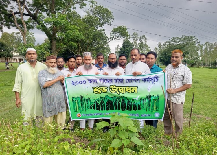 নাগেশ্বরীতে বজ্রপাতের ঝুঁকি কমাতে দুই হাজার তালগাছ রোপণের উদ্যোগ