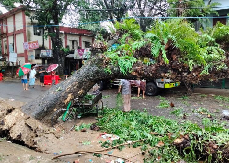 বান্দরবানে গাছ ভেঙে রাঙ্গামাটি-খাগড়াছড়ি সড়ক যোগাযোগ বন্ধ