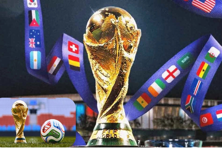 বিশ্বকাপ শেষে টাকার বন্যা, কোন দল কত পেল
