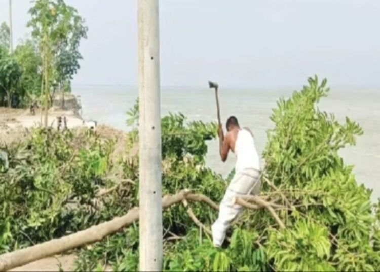 ব্রহ্মপুত্রের ভাঙনে মুহূর্তেই হারাল ২৫ পরিবারের ঠিকানা, আতঙ্কে তীরবর্তী মানুষ