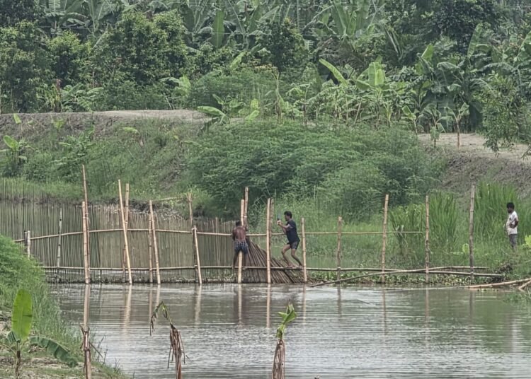 ভুবনেশ্বর নদীতে টাস্কফোর্সের অভিযান, ৪০টি চায়না দুয়ারী জাল ধ্বংস