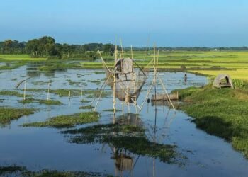 ময়মনসিংহে হারিয়ে যাচ্ছে খাল-বিল