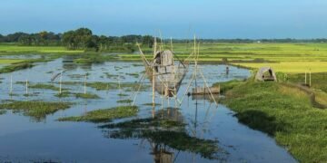 ময়মনসিংহে হারিয়ে যাচ্ছে খাল-বিল