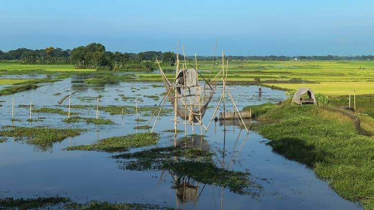 ময়মনসিংহে হারিয়ে যাচ্ছে খাল-বিল