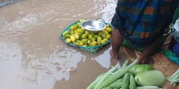 রাজস্থলী উপজেলার বাঙ্গালহালিয়া বাজার ডাক বাংলা পাড়া প্লাবিত