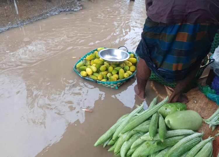 রাজস্থলী উপজেলার বাঙ্গালহালিয়া বাজার ডাক বাংলা পাড়া প্লাবিত