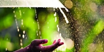 রিমঝিম বৃষ্টির দিনে