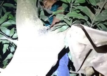 লালমনিরহাটে গাছ থেকে যুবকের ঝুলন্ত মরদেহ উদ্ধার