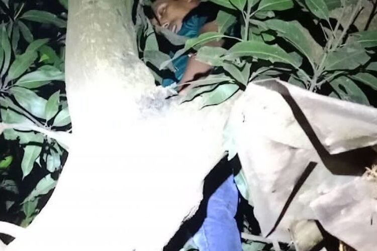 লালমনিরহাটে গাছ থেকে যুবকের ঝুলন্ত মরদেহ উদ্ধার