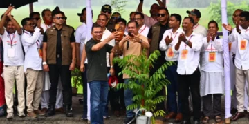 শিক্ষার্থীদের বছরে একটি গাছ লাগানোর আহ্বান প্রধানমন্ত্রীর