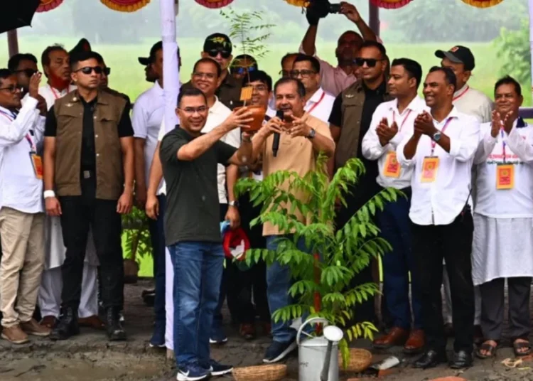 শিক্ষার্থীদের বছরে একটি গাছ লাগানোর আহ্বান প্রধানমন্ত্রীর