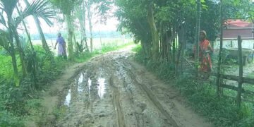 শেরপুরে নলকুড়া ইউনিয়নের রাস্তা, চরম দুর্ভোগে হাজারো মানুষ