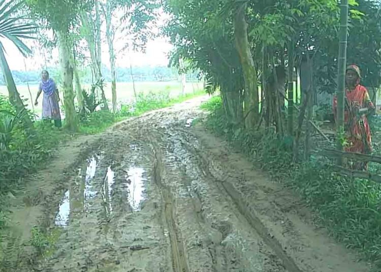 শেরপুরে নলকুড়া ইউনিয়নের রাস্তা, চরম দুর্ভোগে হাজারো মানুষ