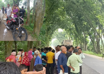 দিনাজপুরের বীরগঞ্জে সড়ক দুর্ঘটনায় মা ছেলে নিহত