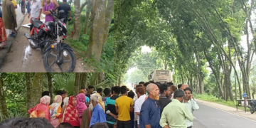 দিনাজপুরের বীরগঞ্জে সড়ক দুর্ঘটনায় মা ছেলে নিহত