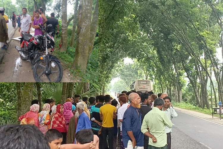 দিনাজপুরের বীরগঞ্জে সড়ক দুর্ঘটনায় মা ছেলে নিহত