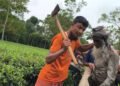 পঞ্চগড়ে মাইকে ঘোষণা দিয়ে চা বাগান দখল চেষ্টার অভিযোগ
