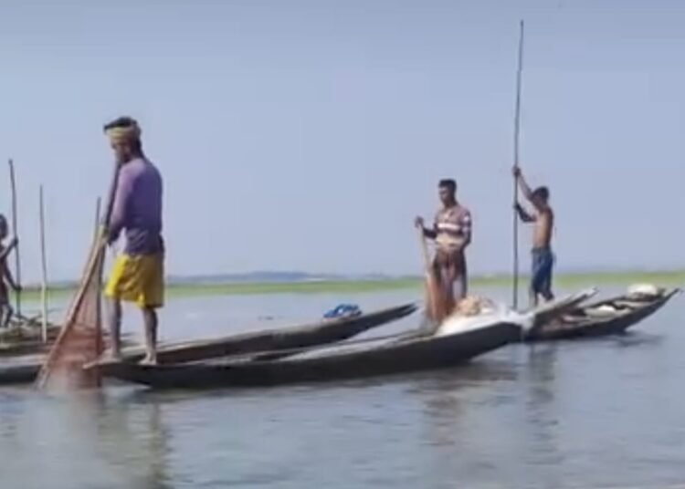 Allegations of extortion even for snail harvesting in haor