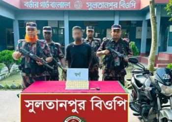 চুয়াডাঙ্গা সীমান্তে ১৩ কোটি টাকার স্বর্ণ উদ্ধার