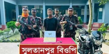 চুয়াডাঙ্গা সীমান্তে ১৩ কোটি টাকার স্বর্ণ উদ্ধার
