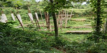 কাপ্তাই সংরক্ষিত বনে ভবন নির্মাণে বাধা