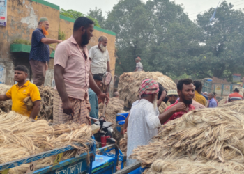 প্রায় আড়াই যুগ পর শাহজাদপুরে ফিরেছে পাটের সোনালি দিন