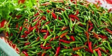 হঠাৎ বাড়ছে কাঁচামরিচের দাম